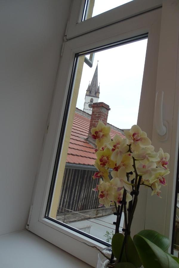 City Eyes Targul Vinului Apartment Sibiu Ngoại thất bức ảnh